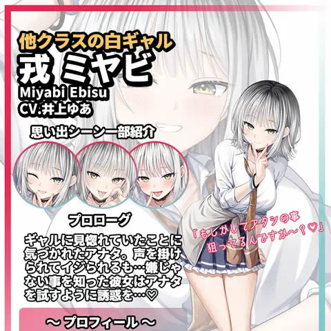 二次元彼女 戎みやびプロフィール